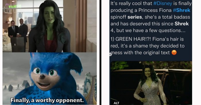 She hulk attorney at law memes
