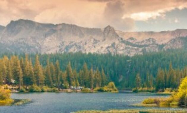 Workers comp lawyer truckee