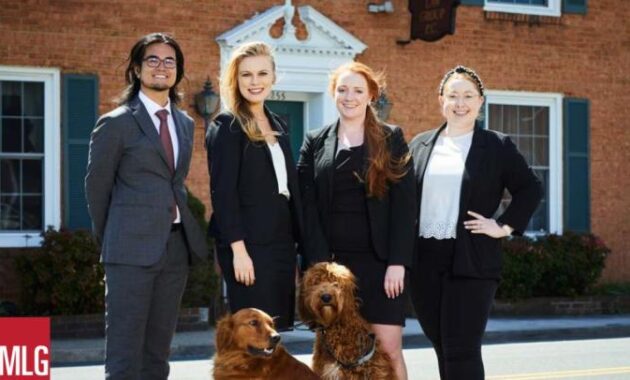 Divorce lawyers honors fairfax
