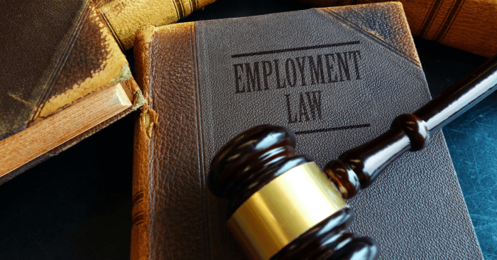 Labor employment attorneys richelieu