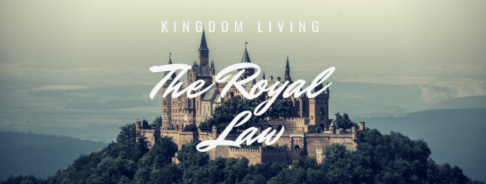 Berg attorney royal chicago immigration