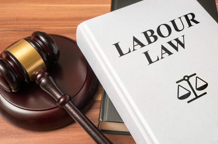 Employment violations lawyers penalties