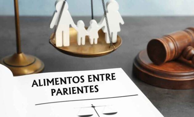 Dreptul familiei hindu partition asociatii servicii reopening reunion echipa asistenta reprezentare ofera