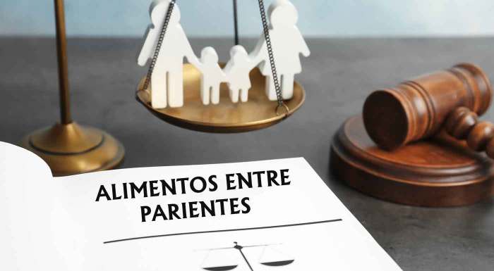Dreptul familiei hindu partition asociatii servicii reopening reunion echipa asistenta reprezentare ofera