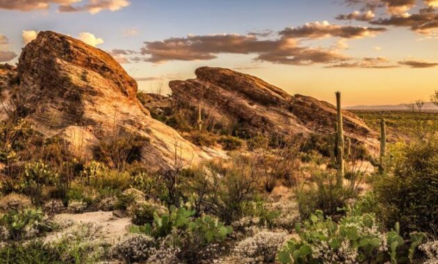 Tucson family law attorneys divorce arizona