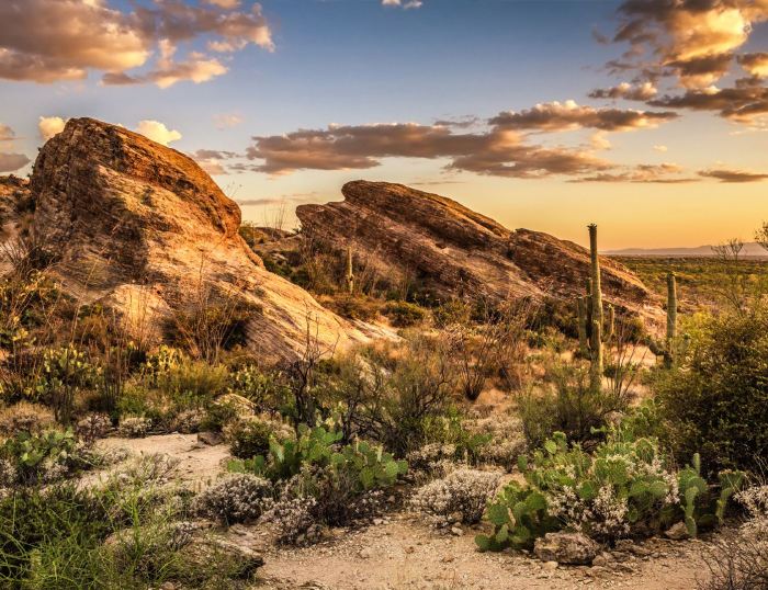 Tucson family law attorneys divorce arizona