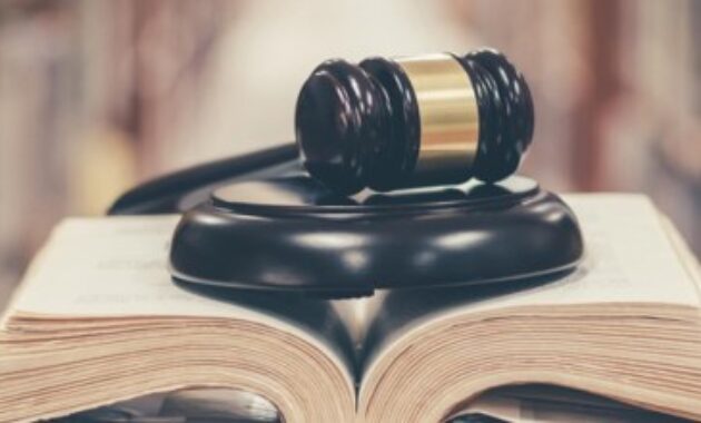 Law education lawyers lawyer