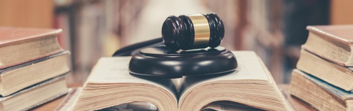 Law education lawyers lawyer