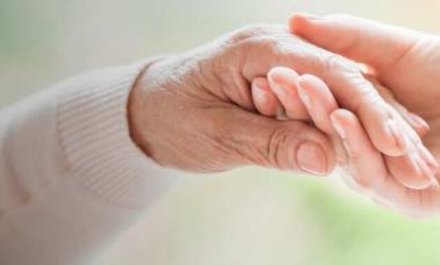 Law elder attorney lawyers older estate