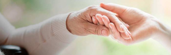 Law elder attorney lawyers older estate