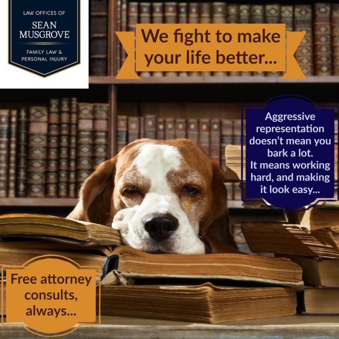 Law services office musgrove sean areas fight better too other life make Law services office musgrove sean areas fight better too other life make