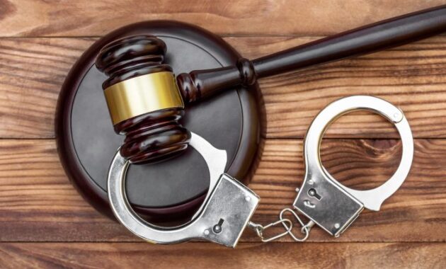 Criminal defense lawyer enter courtroom shaking judge agreeing client lawyers