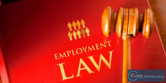 Attorneys our david employment francisco san Attorneys our david employment francisco san