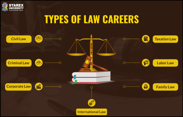 Jamaica lawyer lawyers monique