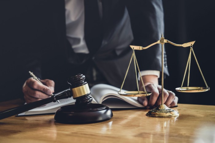 Lawyers gender