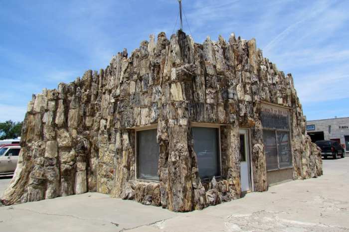 Lamar colorado petrified gas station wood events prowers attractions