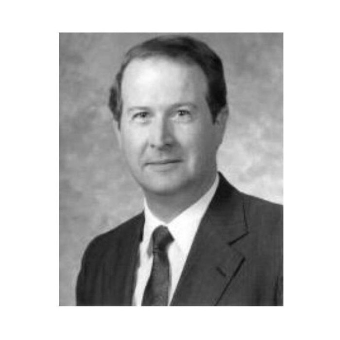 Law gibbs craig attorney