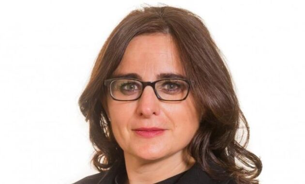 Ann lawyer