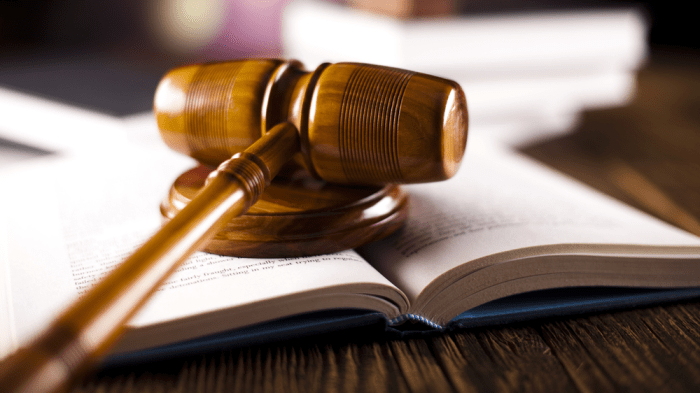Arabic language law