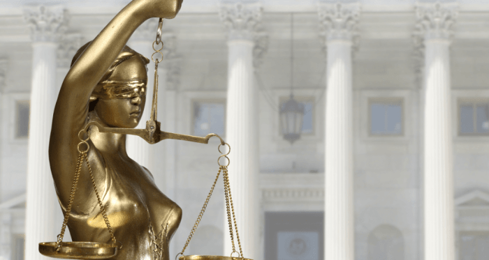 Lawyer trial attorney female courtroom being things talking legal dangerous guidelines expedite judgements laid various analysis know ipleaders has down